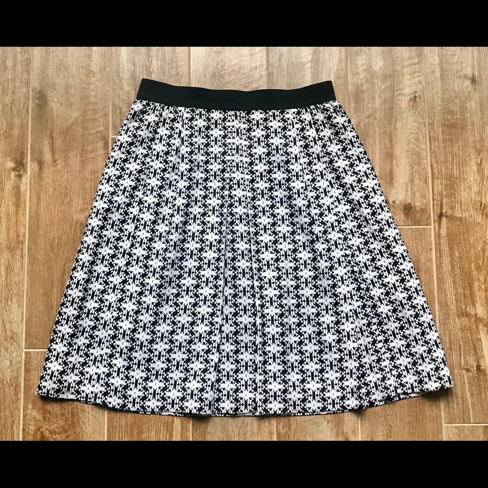 Pleated Skirt